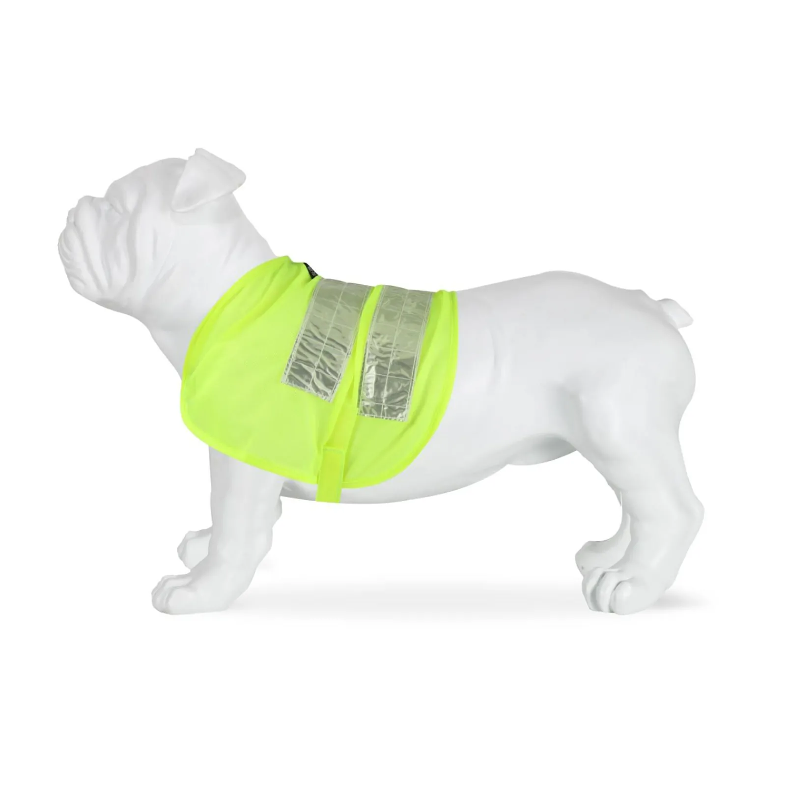Regatta Gilet réfléchissant pour chien |< Manteaux Pour Chiens