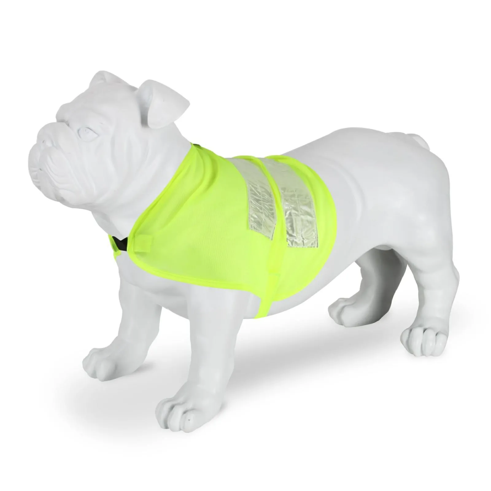 Regatta Gilet réfléchissant pour chien |< Manteaux Pour Chiens