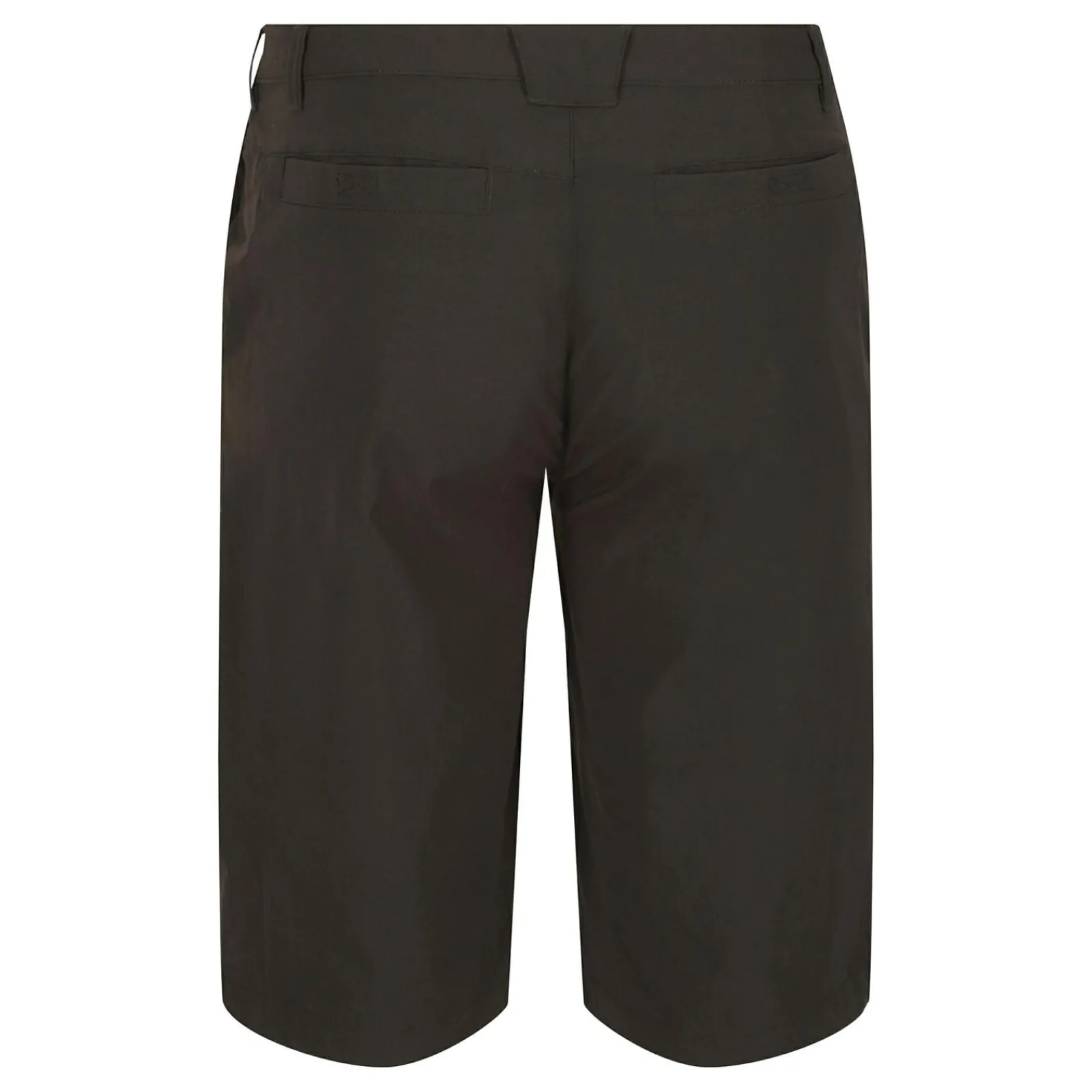 Regatta Highton Long Homme Short de marche |<Homme Shorts