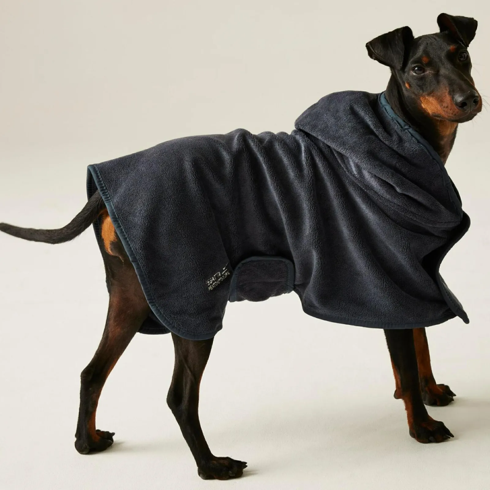 Regatta Manteau de séchage pour chien |< Manteaux Pour Chiens