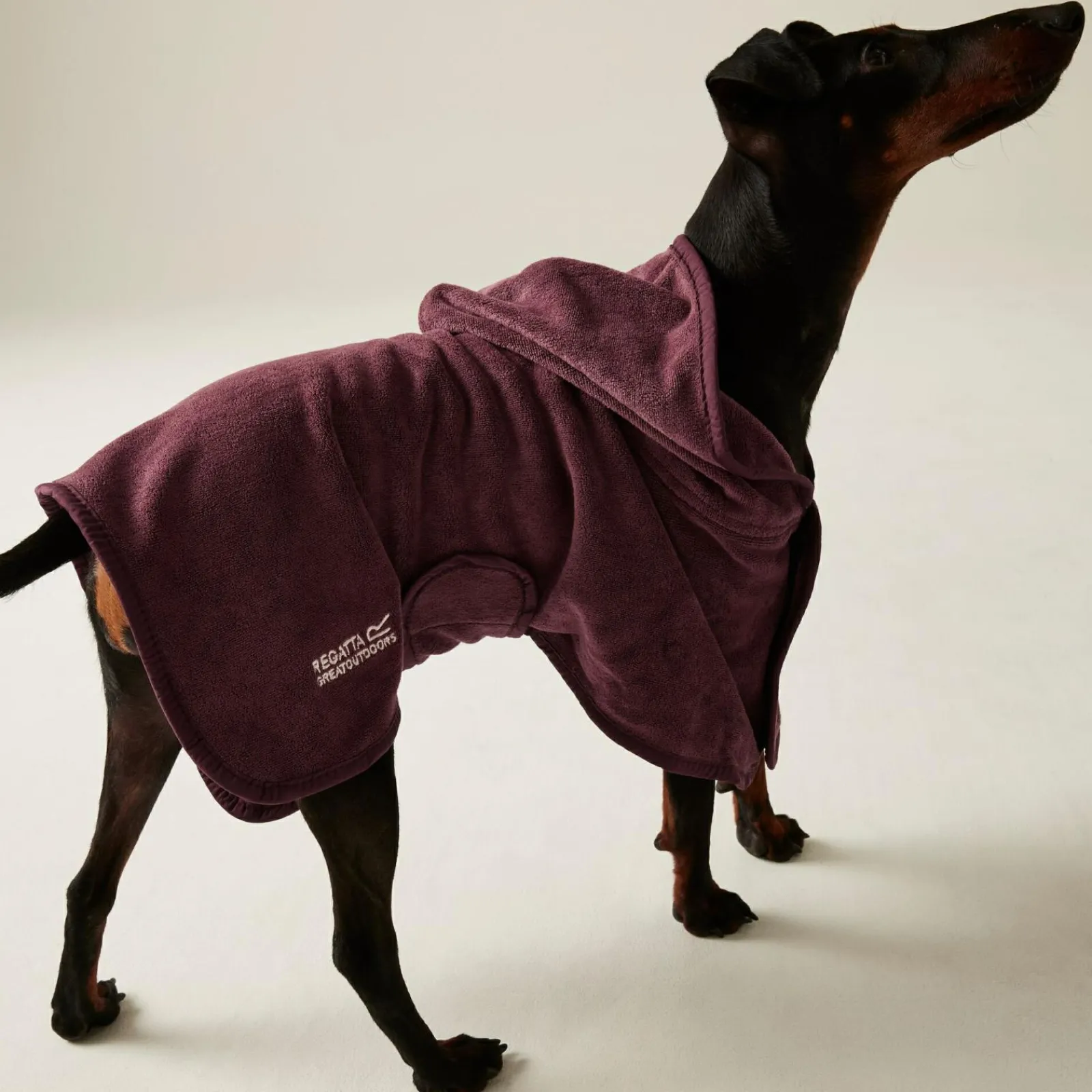 Regatta Manteau de séchage pour chien |< Manteaux Pour Chiens