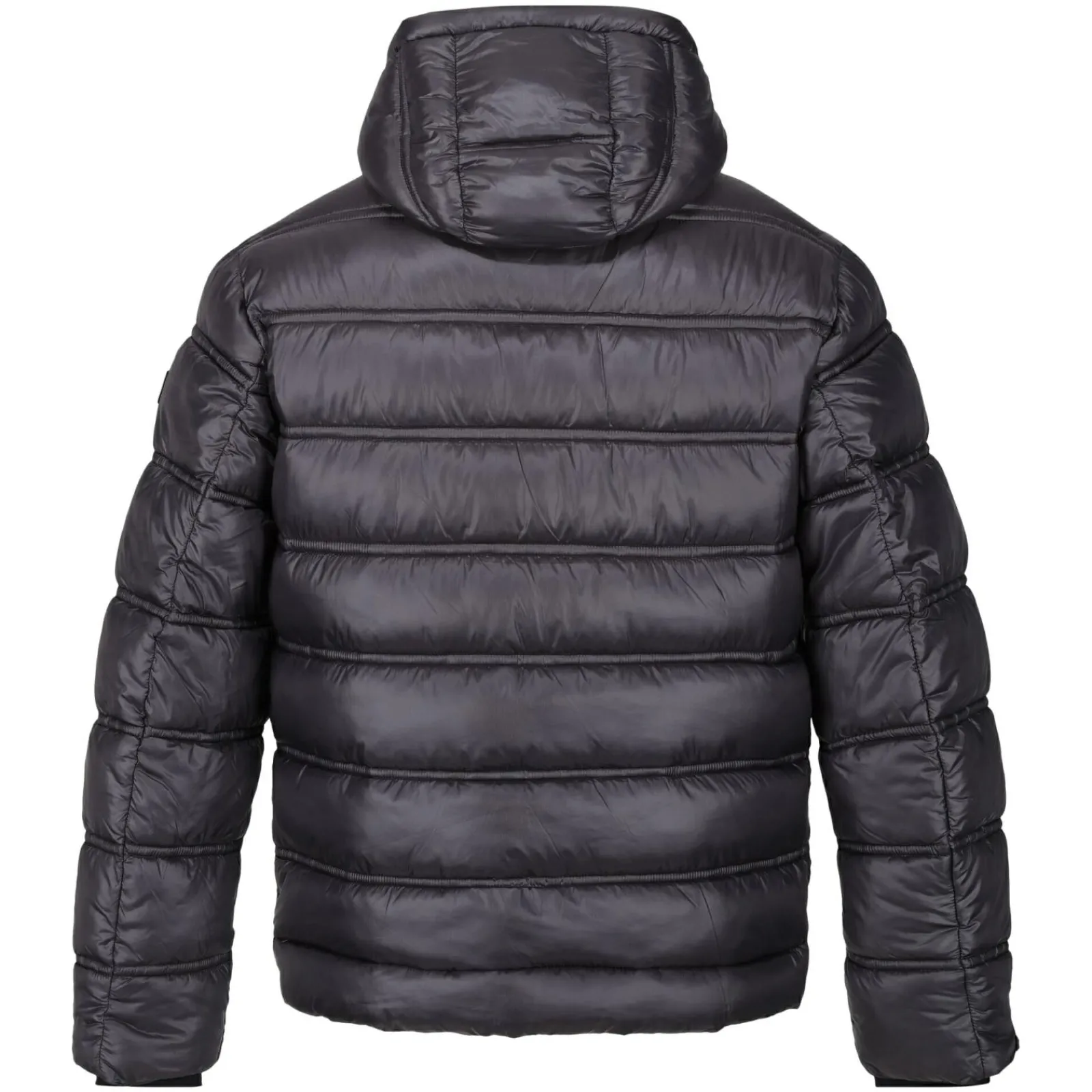 Regatta Toploft III Homme Veste baffled |<Homme Doudounes