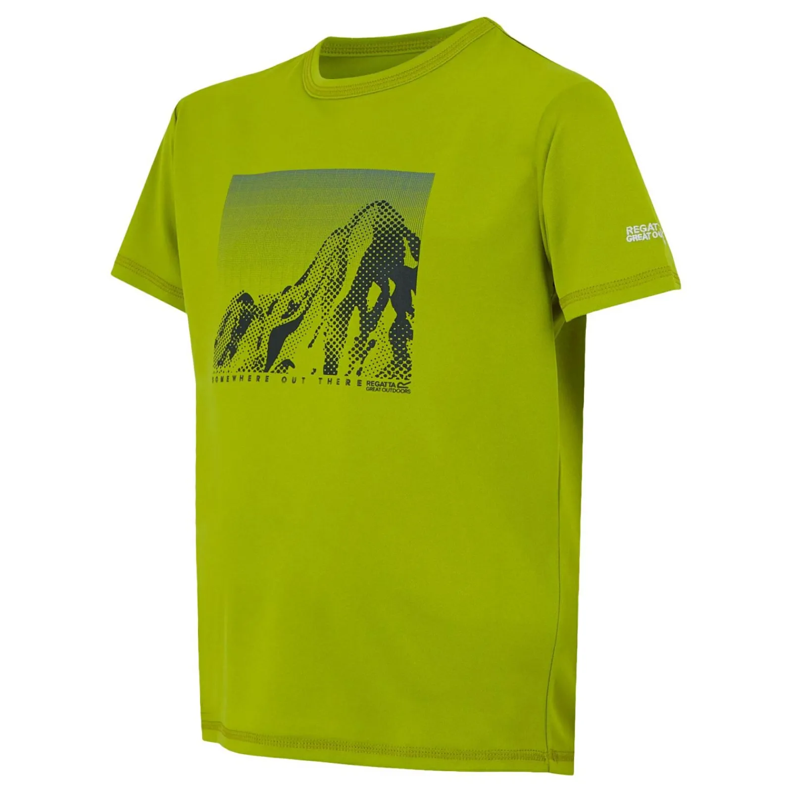 Regatta T-shirt Alvarado IX pour enfant |<Enfant T-Shirts